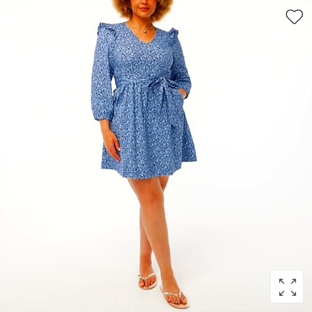 NWT J. Crew dress